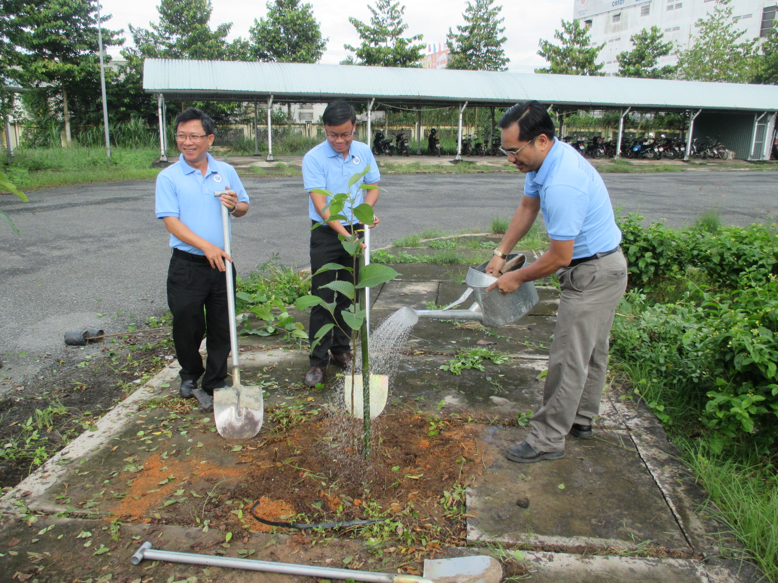 Phân hiệu ĐHQG-HCM tại tỉnh Bến Tre tổ chức chương trình Ngày hội trồng cây mừng năm học mới 2017 – 2018